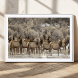 93076148-MGC-FP-36x24_White-Elk Herd Wall Art – Wildlife Canvas Print of Elk in Winter Landscape, Rustic Western Cabin & Lodge Décor, Nature Photography for