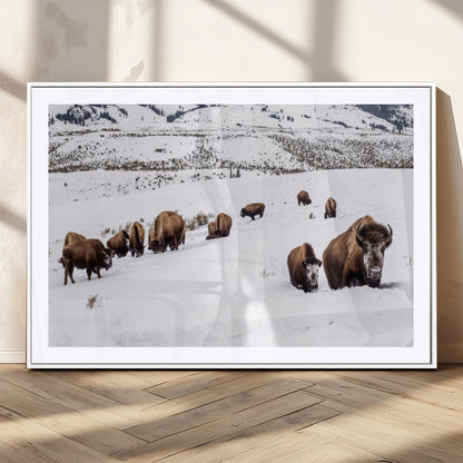 38217250-MGC-FP-36x24_White-Bison Herd Wall Art – Wildlife Canvas Print of Buffalo Winter Snow Scene, Rustic Western Lodge Décor, Farmhouse & Cabin Nature
