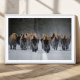 30332489-MGC-FP-36x24_White-Winter Bison Herd Wall Art – Powerful Buffalo Canvas Print, Rustic Wildlife Photography Decor for Farmhouse, Cabin, Lodge, Living