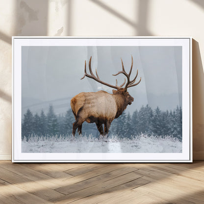 85177251-MGC-FP-36x24_White-Elk Wall Art – Majestic Wildlife Canvas Print of Bull Elk Snowy Forest, Rustic Nature Decor for Living Room, Cabin, or Office