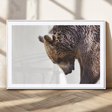 14405507-MGC-FP-36x24_White-Grizzly Bear Canvas Wall Art – Framed Wildlife Nature Decor, Large Brown Bear Profile Canvas Print for Living Room, Office, or