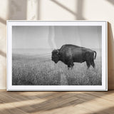 90861202-MGC-FP-36x24_White-Black and White Bison Canvas Wall Art – Rustic American Buffalo Print, Western Wildlife Photography for Farmhouse, Cabin, Office