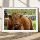 68411138-MGC-FP-36x24_White-Farmhouse Wall Art – Highland Cow Canvas Print, Rustic Country Cattle Photography Decor for Bedroom, Living Room, Office, Ranch,