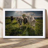 67277447-MGC-FP-36x24_White-Farmhouse Wall Art – Herd of Cows Canvas Print, Rustic Country Pasture Photography Decor for Bedroom, Living Room, Office, Ranch,