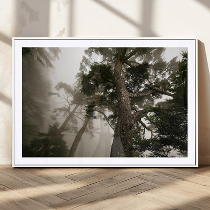 87969493-MGC-FP-36x24_White-Forest Wall Art – Misty Tall Trees Canvas Print, Dramatic Woodland Photography Decor for Bedroom, Living Room, Office, Cabin,