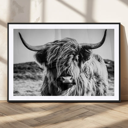 36979-MGC-FP-36x24_Black-Striking black-and-white portrait of a Highland cow with flowing fur and majestic horns, perfect for rustic and elegant home or