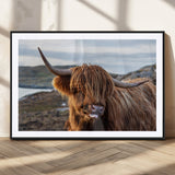 71222-MGC-FP-36x24_Black-A playful Highland cow with shaggy fur sticks out its tongue, set against a rugged landscape — perfect for quirky home or office
