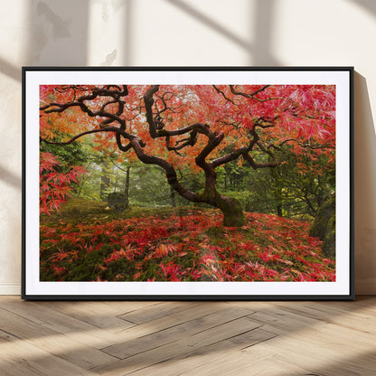 73343-MGC-FP-36x24_Black-Autumn Maple Wall Art – Panoramic Vibrant Red Maple Tree Canvas Print, Seasonal Nature Decor for Office, Living Room or Garden
