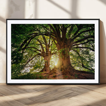 52150-MGC-FP-36x24_Black-Majestic Tree Wall Art – Large Nature Canvas Print with Sunlight Through Branches, Rustic Forest Decor for Living Room, Bedroom or