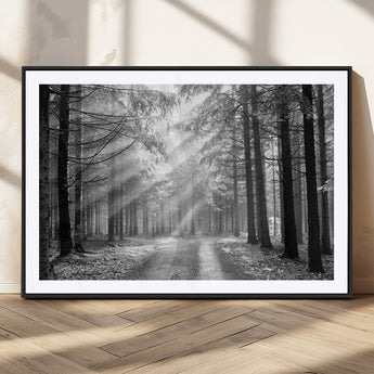 39665-MGC-FP-36x24_Black-Black and White Forest Path Wall Art – Sunlight Rays in Trees Canvas Print, Nature Landscape Decor for Living Room or Office