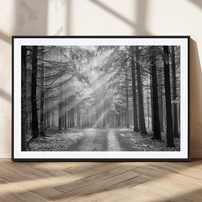 39665-MGC-FP-36x24_Black-Black and White Forest Path Wall Art – Sunlight Rays in Trees Canvas Print, Nature Landscape Decor for Living Room or Office