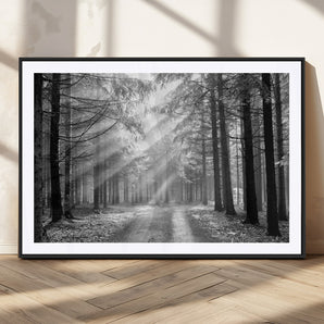 39665-MGV-CV-36X24-Black and White Forest Path Wall Art – Sunlight Rays in Trees Canvas Print, Nature Landscape Decor for Living Room