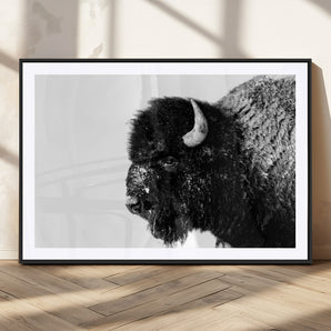 68780-MGV-CV-36X24-Bison Close-Up Wall Art – Black and White Buffalo Canvas Print, Rustic Wildlife Photography Decor for Living Room, Office, or