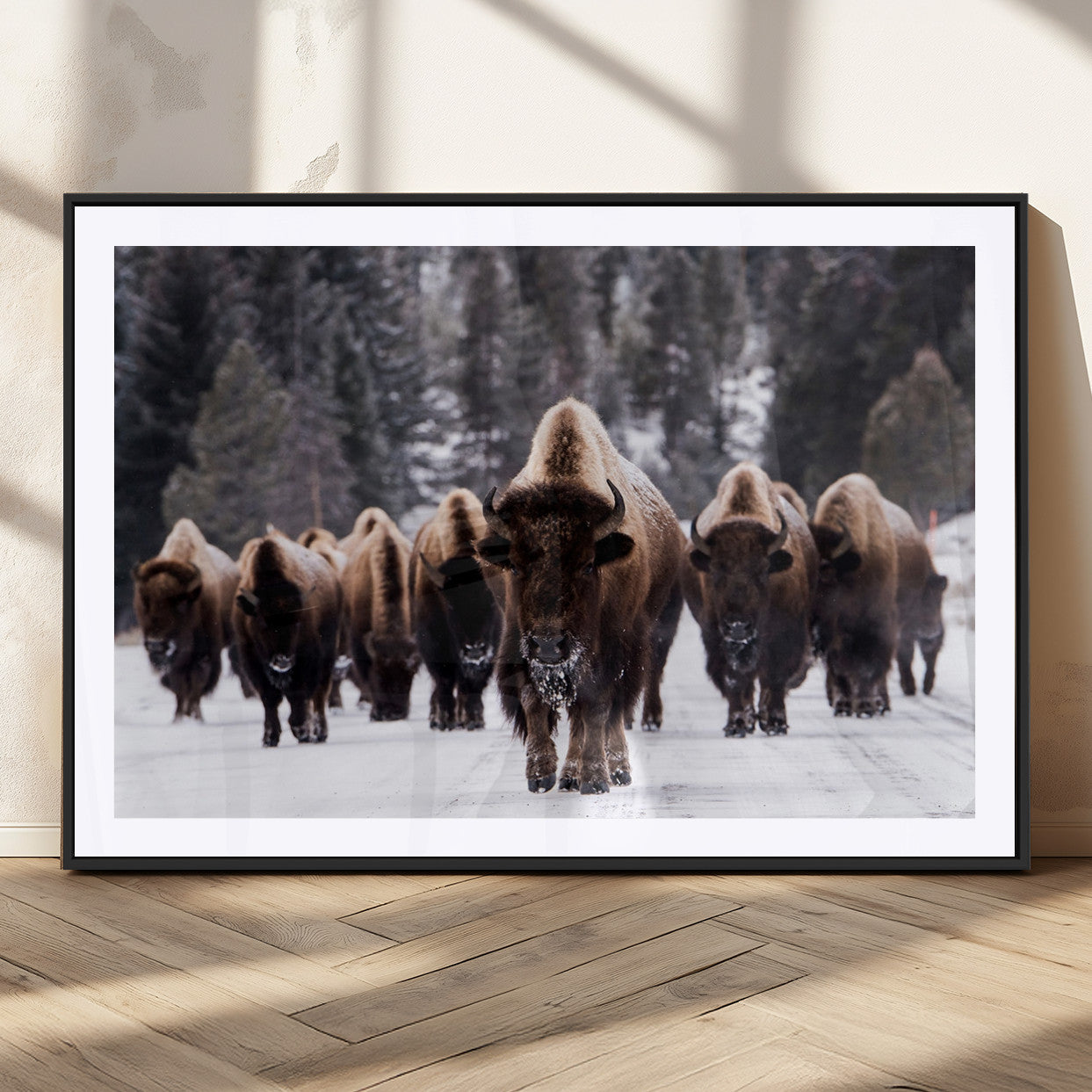 66871-MGC-FP-36x24_Black-Bison Herd Wall Art – Wildlife Buffalo Canvas Print, Rustic Western Nature Photography Decor for Living Room, Office, Cabin, or