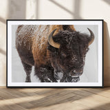 65605-MGV-CV-36X24-Snow Bison Wall Art – Close Up Buffalo Canvas Print, Rustic Western Wildlife Photography, Farmhouse Cabin Lodge Decor for Living
