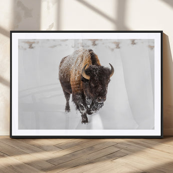 19889-MGV-CV-36X24-Snow Bison Wall Art – Majestic Buffalo Winter Landscape Canvas Print, Rustic Wildlife Photography Decor for Cabin, Lodge, Living