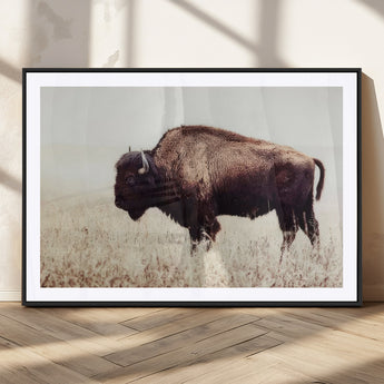 48406-MGC-FP-36x24_Black-American Bison Wall Art – Rustic Buffalo Canvas Print in Prairie Field, Western Wildlife Photography Decor for Cabin, Lodge,