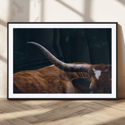 55197-MGC-FP-36x24_Black-Texas Longhorn Wall Art – Rustic Western Bull Horn Canvas Print and Farmhouse Country Animal Decor for Living Room, Office or