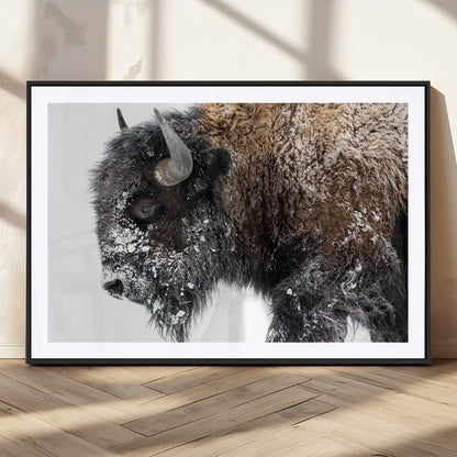 24304-MGC-FP-36x24_Black-Bison Wall Art Canvas Print, Framed Winter Bison Art Picture Print, Snowy Buffalo Perfect Rustic Farmhouse Decor Artwork