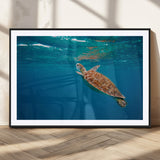91440-MGV-CV-36X24-Sea Turtle Wall Art – Ocean Turtle Canvas Print, Underwater Marine Life Decor for Living Room, Office, Beach House or Bathroom