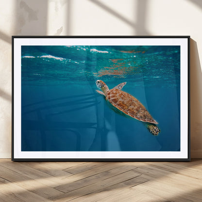 91440-MGV-CV-36X24-Sea Turtle Wall Art – Ocean Turtle Canvas Print, Underwater Marine Life Decor for Living Room, Office, Beach House or Bathroom