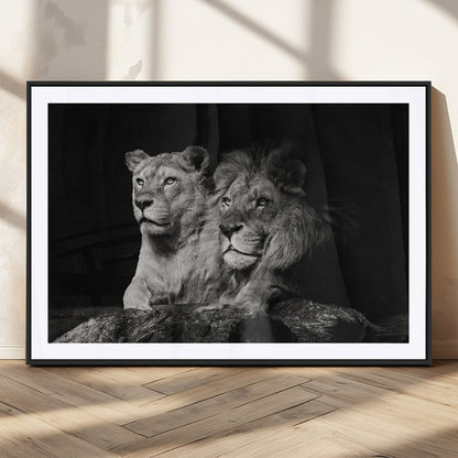 80013-MGC-FP-36x24_Black-Lion and Lioness Wall Art – Black and White Wildlife Photography Canvas Print, African Safari Animal Decor for Office, Bedroom, or