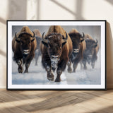 80512-MGC-FP-36x24_Black-Bison Herd Wall Art – Buffalo Running in Snow Canvas Print, Rustic Wildlife Photography Decor for Cabin, Lodge, or Living Room