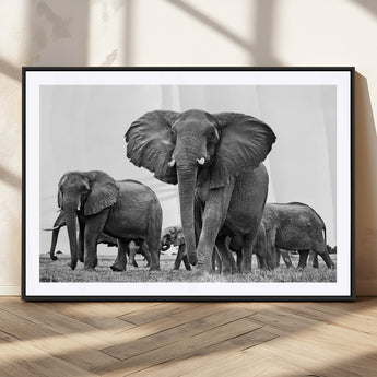 91685-MGC-FP-36x24_Black-Elephant Herd Wall Art – Black and White Safari Canvas Print, African Wildlife Photography Decor for Living Room, Office or