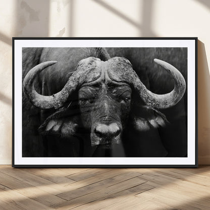 75273-MGV-CV-36X24-Buffalo Wall Art – Black and White African Buffalo Canvas Print, Rustic Wildlife Animal Artwork for Farmhouse, Living Room,