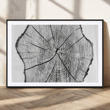 98709-MGV-CV-36X24-Tree Ring Wall Art – Black and White Canvas Print Rustic Wood Cross Section, Minimal Nature Inspired Decor for Living Room,