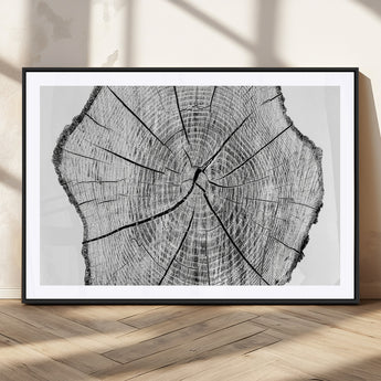 98709-MGV-CV-36X24-Tree Ring Wall Art – Black and White Canvas Print Rustic Wood Cross Section, Minimal Nature Inspired Decor for Living Room,