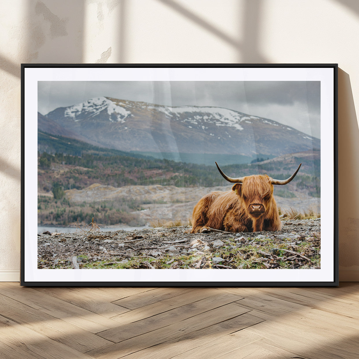80252-MGC-FP-36x24_Black-Scottish Cow Wall Art Canvas Print, Framed Highland Cow Art Picture Print, Highland Cattle Perfect Rustic Farmhouse Decor Artwork