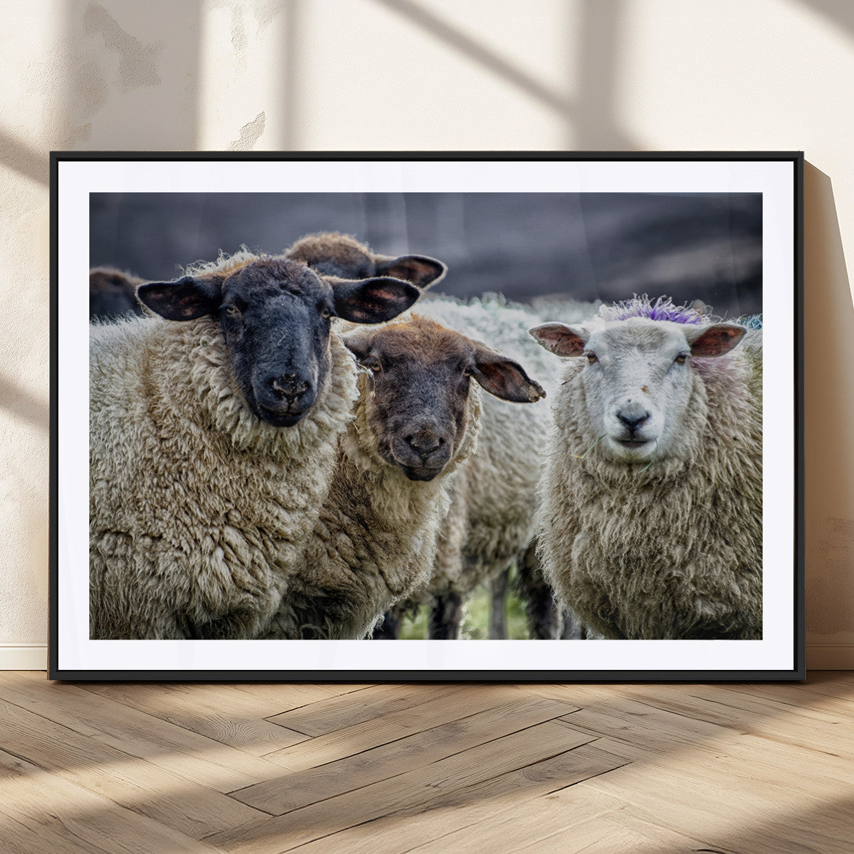 18418-MGC-FP-36x24_Black-Sheep Wall Art Canvas Print, Framed Farmhouse Sheep Art Picture Print, Sheep Herd Perfect Rustic Farmhouse Decor Artwork