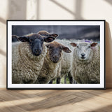 18418-MGC-FP-36x24_Black-Sheep Wall Art Canvas Print, Framed Farmhouse Sheep Art Picture Print, Sheep Herd Perfect Rustic Farmhouse Decor Artwork