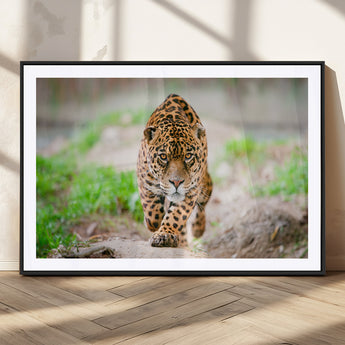 75066-MGV-CV-36X24-Leopard Wall Art Canvas Print, Framed Wild Animal Art Picture Print, Blue Eye Leopard Perfect Wild Minimal Decor Artwork