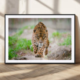 75066-MGC-FP-36x24_Black-Leopard Wall Art Canvas Print, Framed Wild Animal Art Picture Print, Blue Eye Leopard Perfect Wild Minimal Decor Artwork