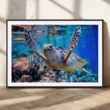 12683-MGC-FP-36x24_Black-Sea Turtle Wall Art – Graceful Ocean Canvas Print with Coral Reef and Tropical Fish, Coastal Marine Life Decor for Beach House,