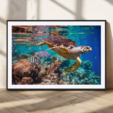 66614-MGC-FP-36x24_Black-Sea Turtle Wall Art – Hawksbill Turtle Swimming Over Coral Reef Canvas Print, Ocean Marine Life Decor for Beach House, Coastal