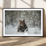 43350-MGC-FP-36x24_Black-Wild Bear in Snow Wall Art – Majestic Wildlife Photography Print, Winter Forest Nature Decor for Cabin, Lodge, Rustic Home,