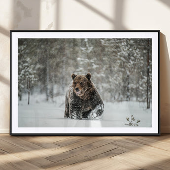 43350-MGC-FP-36x24_Black-Wild Bear in Snow Wall Art – Majestic Wildlife Photography Print, Winter Forest Nature Decor for Cabin, Lodge, Rustic Home,