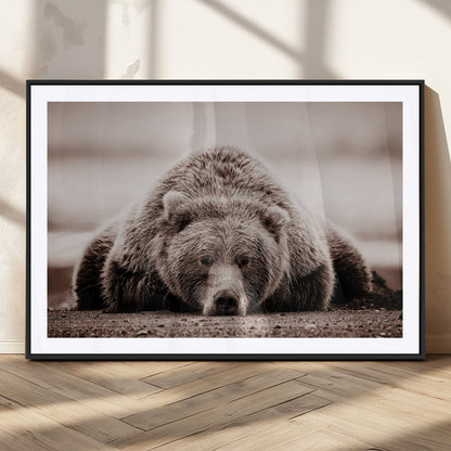 20611-MGC-FP-36x24_Black-Grizzly Bear Wall Art – Majestic Wildlife Sepia Canvas Print, Rustic Nature Animal Artwork for Cabin, Lodge, Living Room, Bedroom,