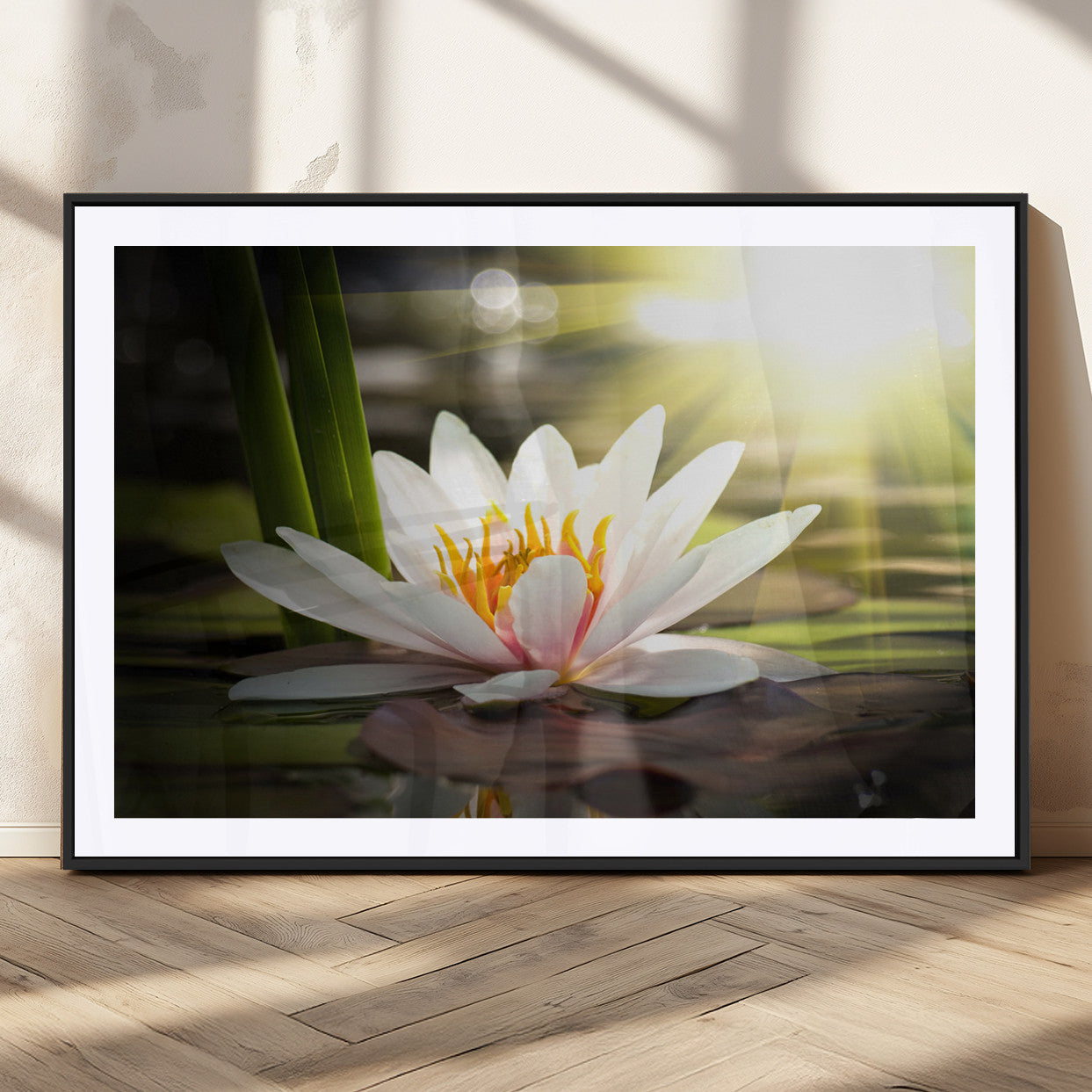 40478-MGC-FP-36x24_Black-Water Lily Wall Art – White Lotus Flower Canvas Print with Sunlight Reflection, Serene Botanical Artwork for Living Room, Bedroom,