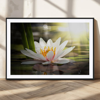 60352-MGC-FP-36x24_Black-White Water Lily Wall Art – Lotus Flower Canvas Print with Sunlight Reflection, Peaceful Botanical Artwork for Living Room,