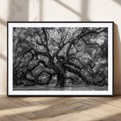 132944706-MGC-FP-36x24_Black-Ancient Tree Wall Art – Black and White Photography Canvas Print Featuring Majestic Twisting Branches, Rustic Nature Artwork for