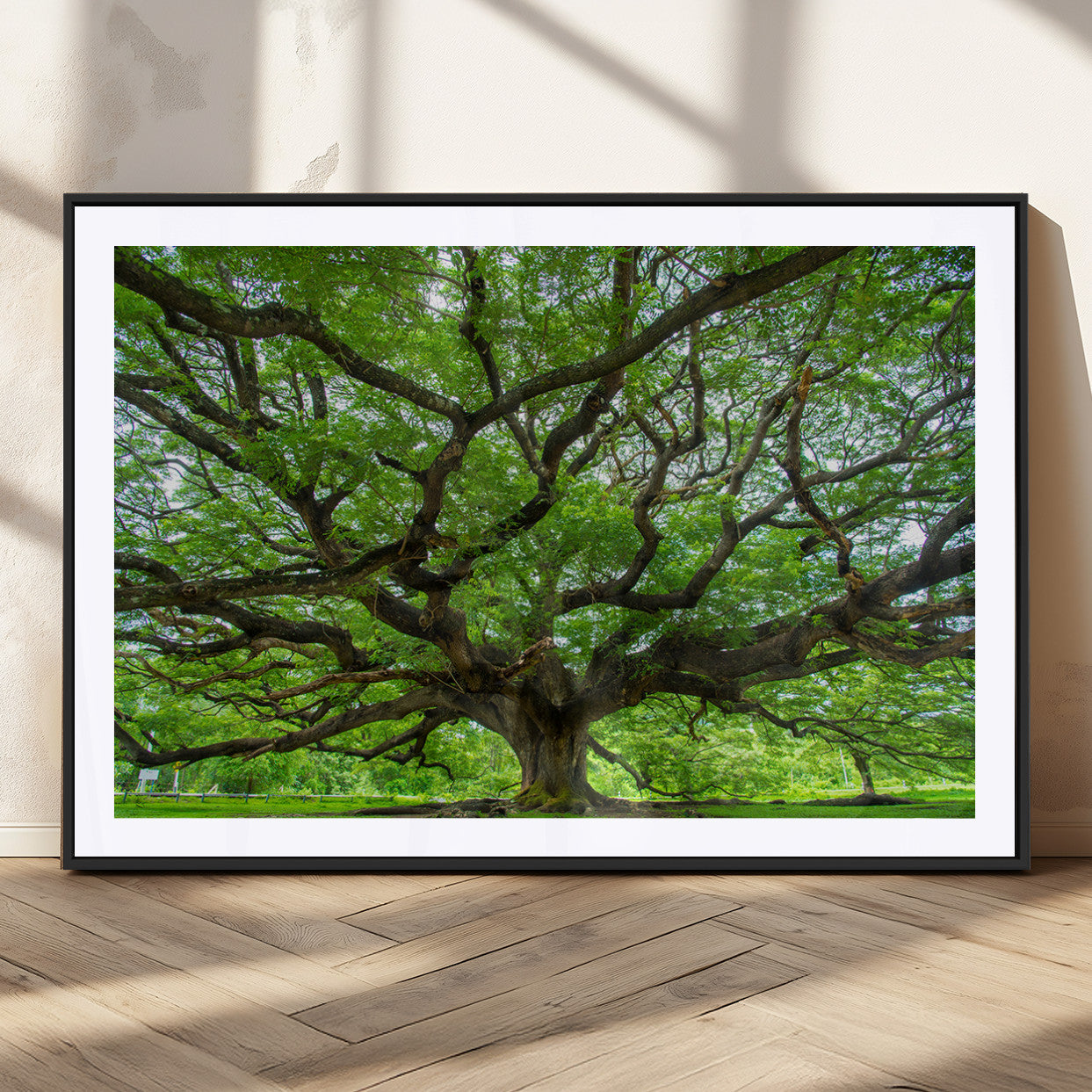 49375306-MGC-FP-36x24_Black-Ancient Tree Wall Art Canvas Print, Framed Sprawling Branches Art Picture Print, Gnarling Tree Perfect Earthy Natural Decor