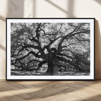 81655611-MGV-CV-36X24-Ancient Oak Wall Art Canvas Print, Framed Twisted Branches Art Picture Print, Gnarled Tree Perfect Moody Nature Decor Artwork