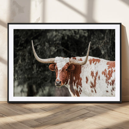 54027638-MGV-CV-36X24-Texas Longhorn Wall Art Canvas Print, Framed Spotted Cow Art Picture Print, Horned Bull Perfect Rustic Western Decor Artwork