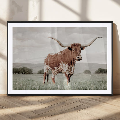 28309012-MGC-FP-36x24_Black-Texas Longhorn Wall Art Canvas Print, Framed Spotted Cattle Art Picture Print, Horned Bull Perfect Rustic Western Decor Artwork