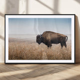 91267849-MGC-FP-36x24_Black-Wild Bison Wall Art Canvas Print, Framed Bison in Prairie Art Picture Print, Rustic Western Perfect Rustic Western Decor Artwork