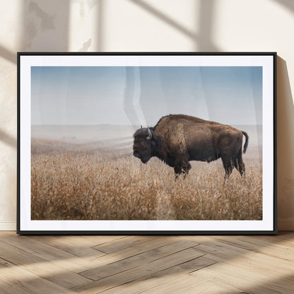 91267849-MGC-FP-36x24_Black-Wild Bison Wall Art Canvas Print, Framed Bison in Prairie Art Picture Print, Rustic Western Perfect Rustic Western Decor Artwork